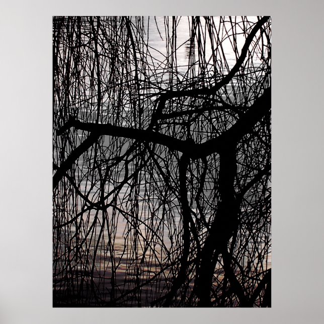 WINTERWILLOW-BAUM POSTER (Vorne)