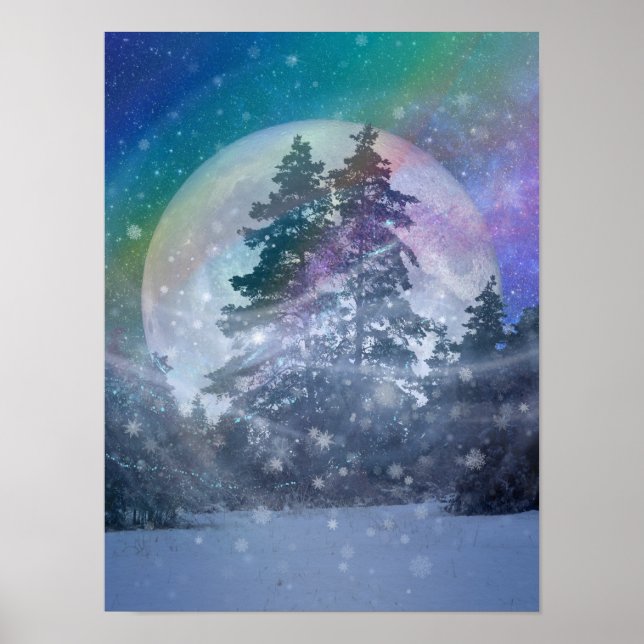 Winterwind-Poster Poster (Vorne)