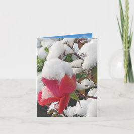 Winterwonderland - Note Card Karte