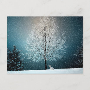 Winterwonderland Postkarte
