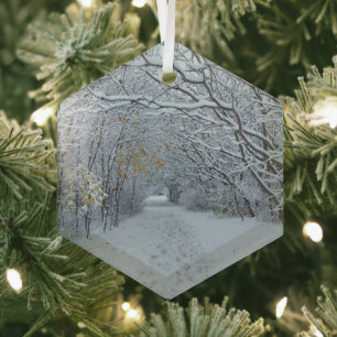 Winterwonderland Schneeschmuck Ornament Aus Glas