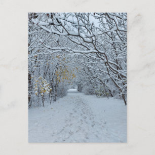 Winterwonderland Snow Park Blank Card Postkarte