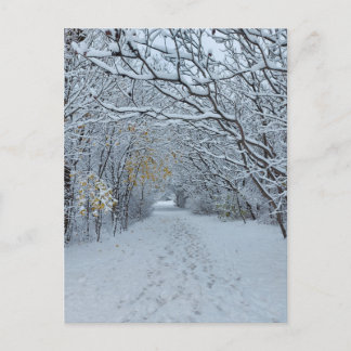 Winterwonderland Snow Park Blank Card Postkarte