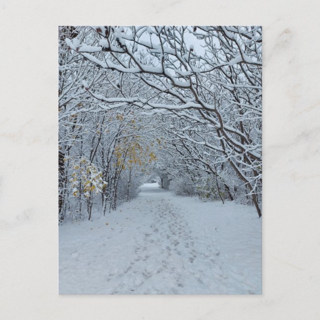Winterwonderland Snow Park Blank Card Postkarte (Vorderseite)