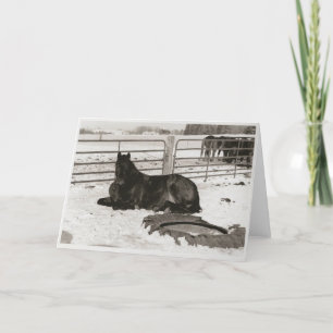 Winterwunder Feiertagskarte