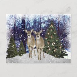 Winterwunderland Hirsch und Weihnachtsbaum Postkar Postkarte