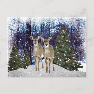 Winterwunderland Hirsch und Weihnachtsbaum Postkar Postkarte