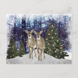 Winterwunderland Hirsch und Weihnachtsbaum Postkar Postkarte