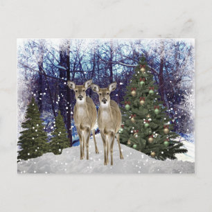 Winterwunderland Hirsch und Weihnachtsbaum Postkar Postkarte