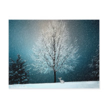 Winterwunderland mit Kaninchen