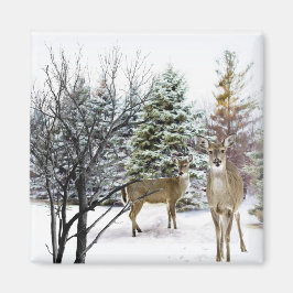 Winterwunderland mit Whitetail Deer Kühlschrank Magnet