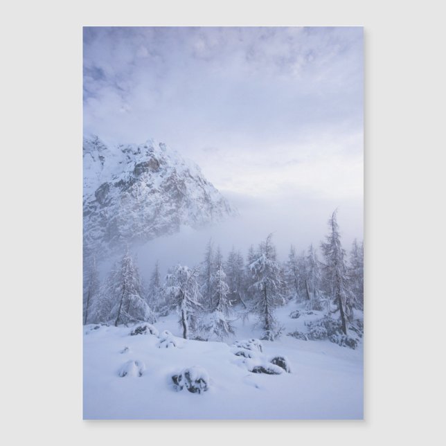 Winterwunderland, Nebel, Fichtenwald und Berge Magnetkarte (Vorderseite)