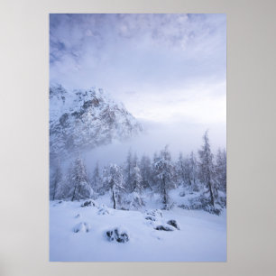 Winterwunderland, Nebel, Fichtenwald und Berge Poster