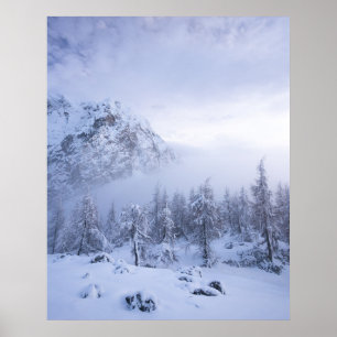 Winterwunderland, Nebel, Fichtenwald und Berge Poster