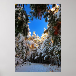 Winterwunderland Poster