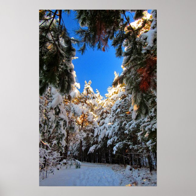 Winterwunderland Poster (Vorne)