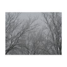 Winterwunderland Postkarte