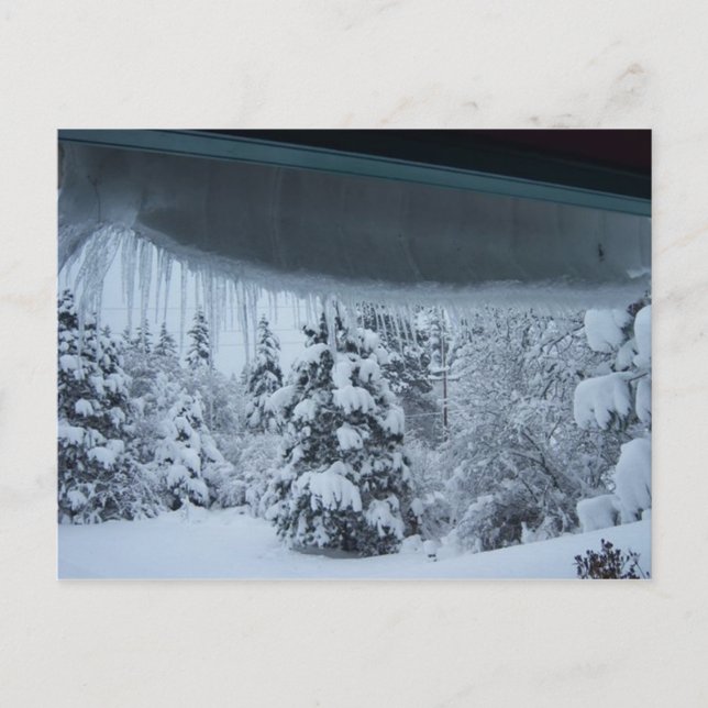 Winterwunderland Postkarte (Vorderseite)