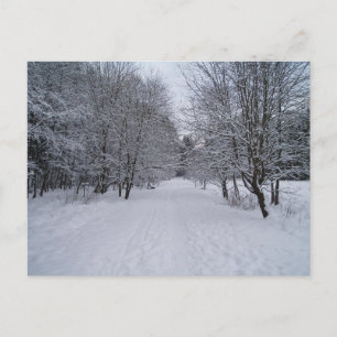 Winterwunderland Postkarte