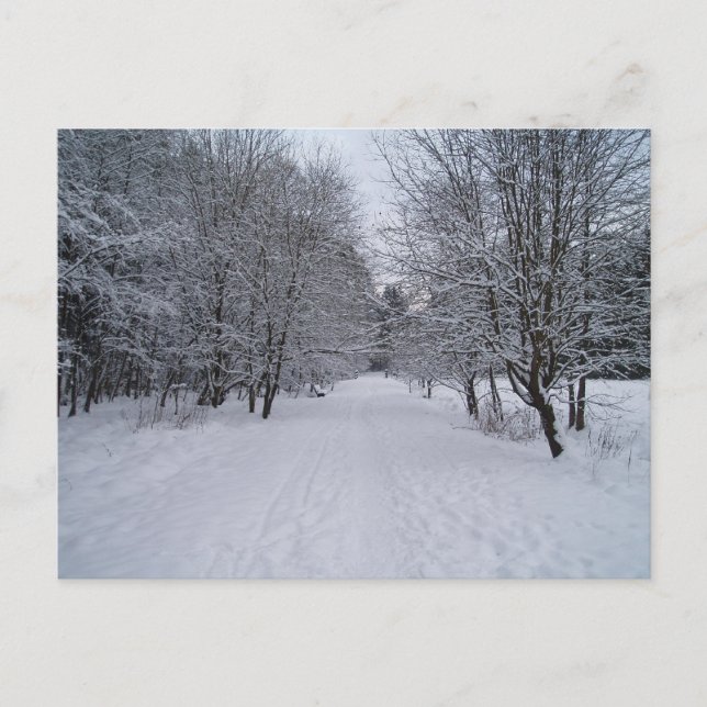 Winterwunderland Postkarte (Vorderseite)