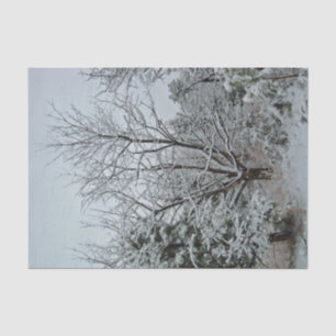 Winterwunderland Seidenpapier