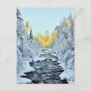 Wintery Stream Postkarte