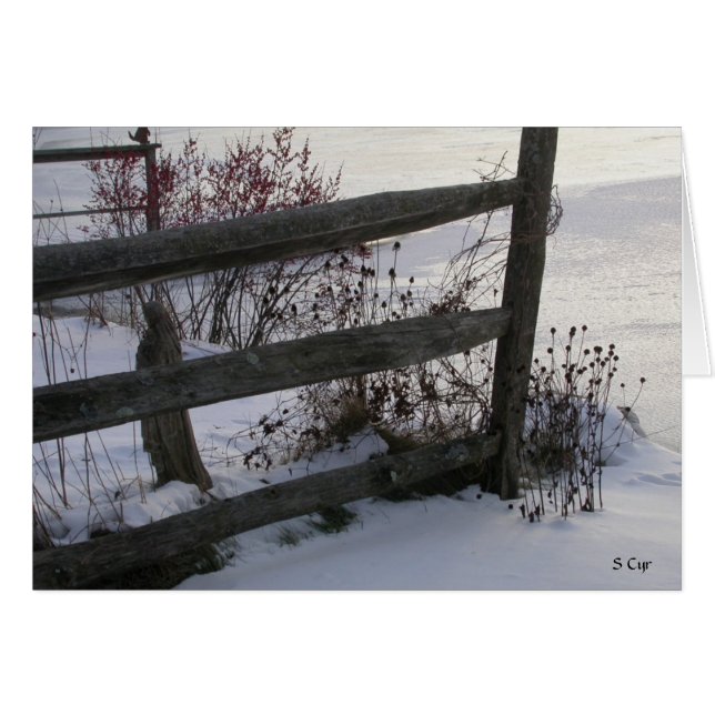 Winterzaun, S Cyr (Vorderseite (Horizontal))