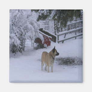 Winterzeit...... Magnet