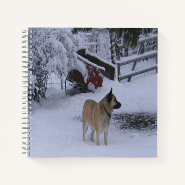 Winterzeit.... Notizbuch (Vorderseite)