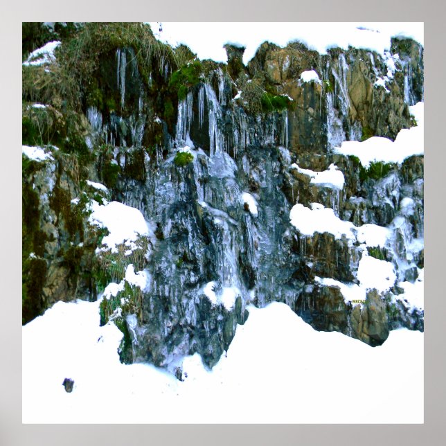 Winterzeit.... Poster (Vorne)