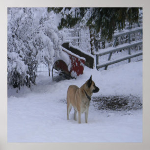 Winterzeit.... Poster