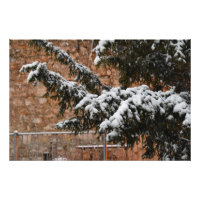 Winterzeit , Schnee auf den Bäumen