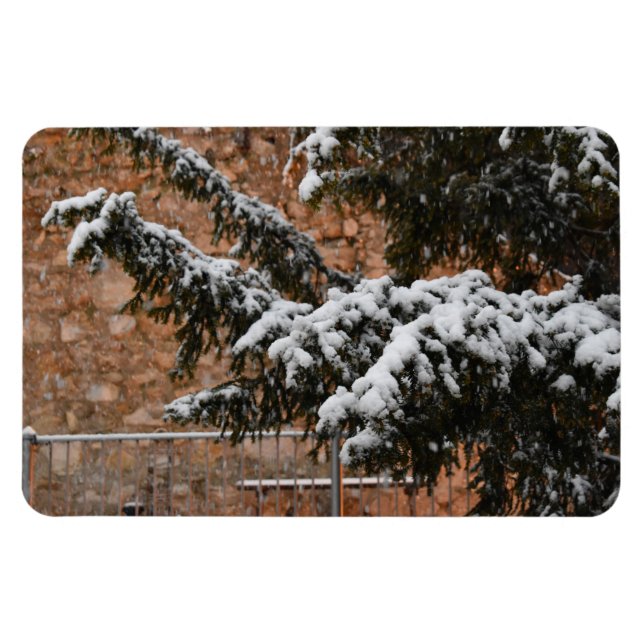 Winterzeit , Schnee auf den Bäumen Magnet (Horizontal)
