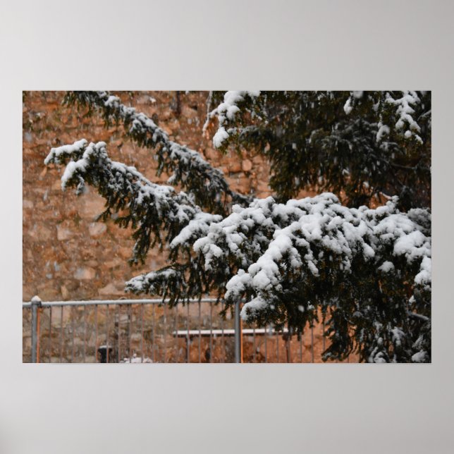 Winterzeit , Schnee auf den Bäumen Poster (Vorne)