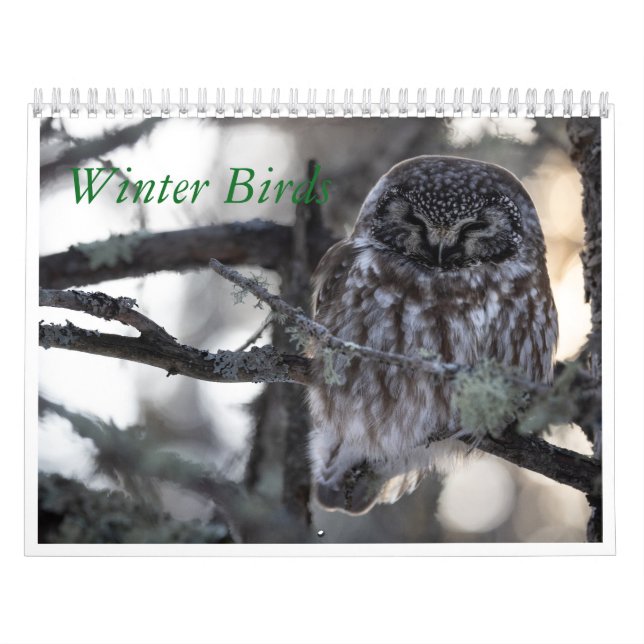 Winterzeitkalender Kalender (Titelbild)