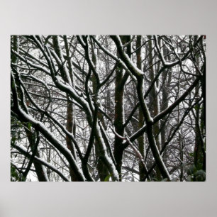 Winterzweige Poster