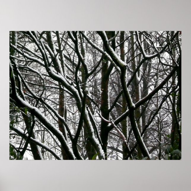 Winterzweige Poster (Vorne)
