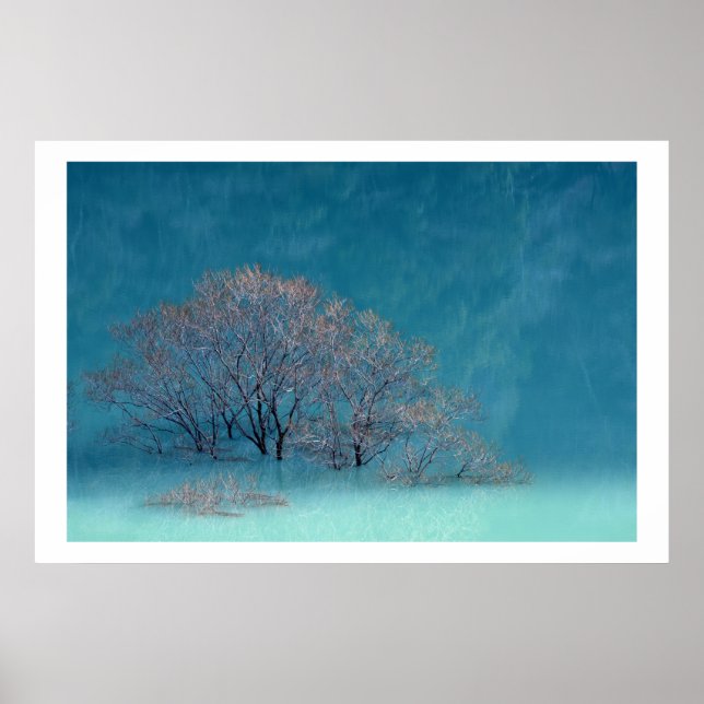Wintry Trees Lake Reflection Poster (Vorne)