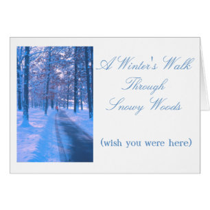 "WINTRY WALK IN SNOWY WOODS"