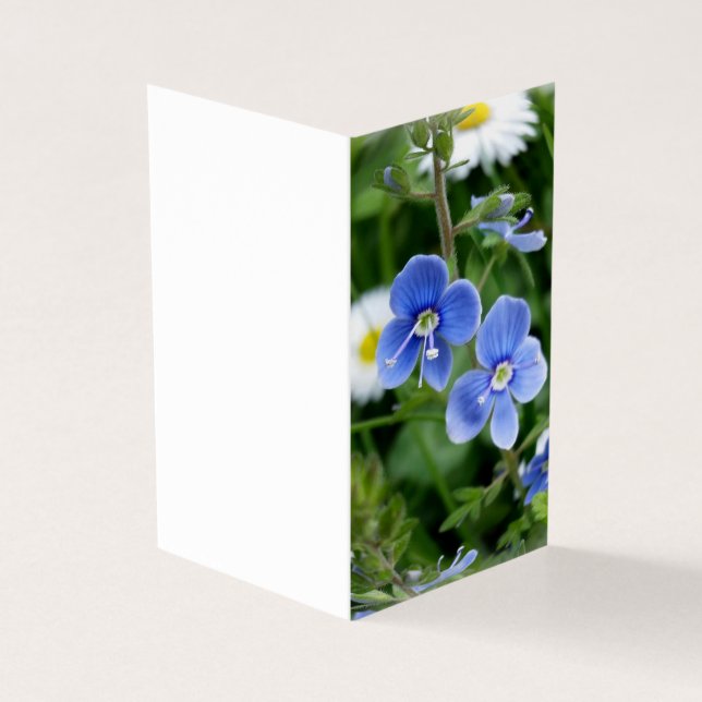 winzige blaue Blumen (Vorderseite)