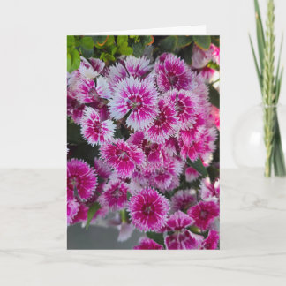 Winzige rosa Blumen leere Karte