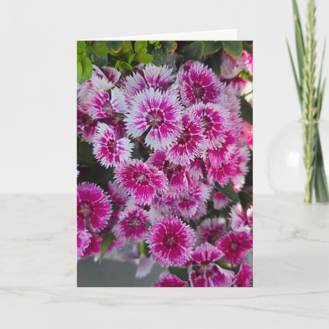 Winzige rosa Blumen leere Karte (Vorderseite)