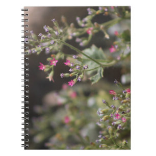 Winzige rosa Wildblumen Coachella Valley Wildlife  Notizblock