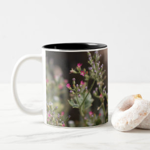 Winzige rosa Wildblumen Coachella Valley Wildlife Zweifarbige Tasse