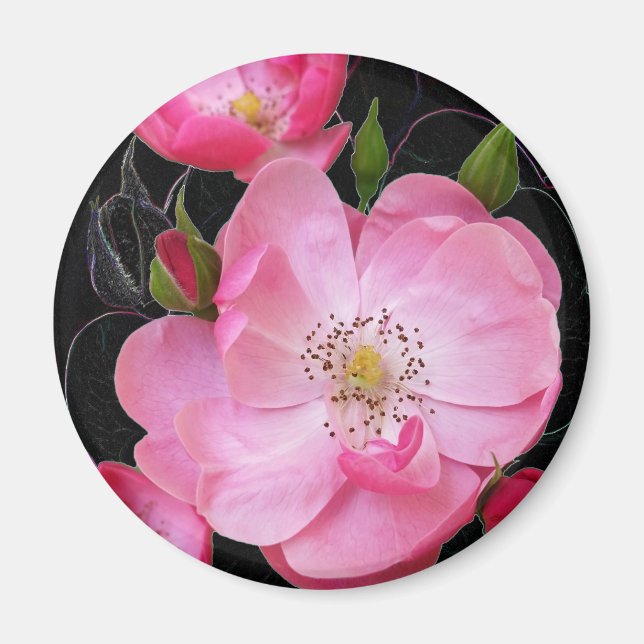 winzige Rosebude Magnet (Vorne)