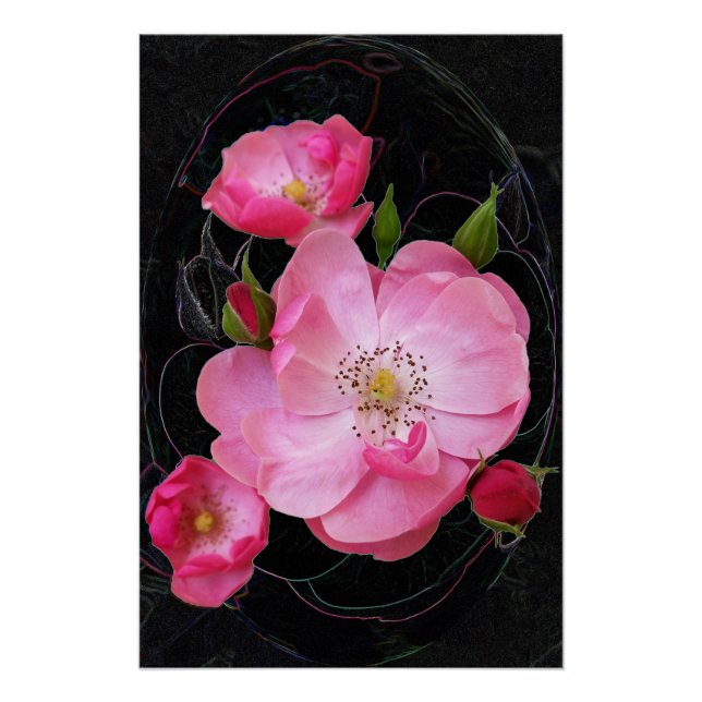 winzige Rosebude Poster (Vorderseite)