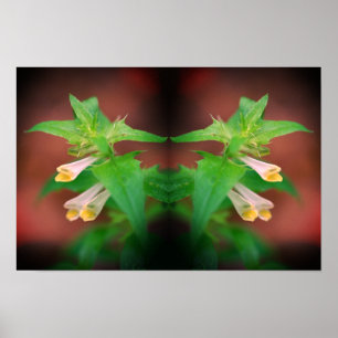 Winzige weiße Wildblume Nah-Up Mirror Abstrakt Poster