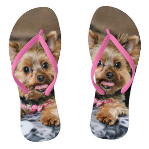 Winziger Dynamo Flip Flops