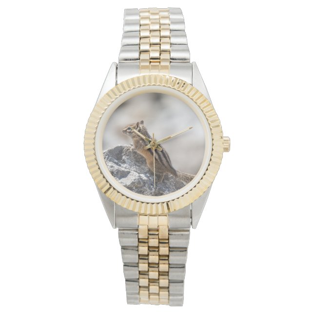 Winziger Explorer, Streifenhörnchen Armbanduhr (Vorderseite)