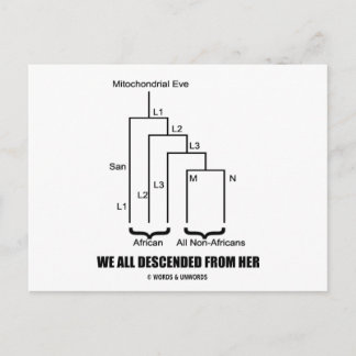 Wir alle sind von ihr (mitochondriale Eva) abgesti Postkarte